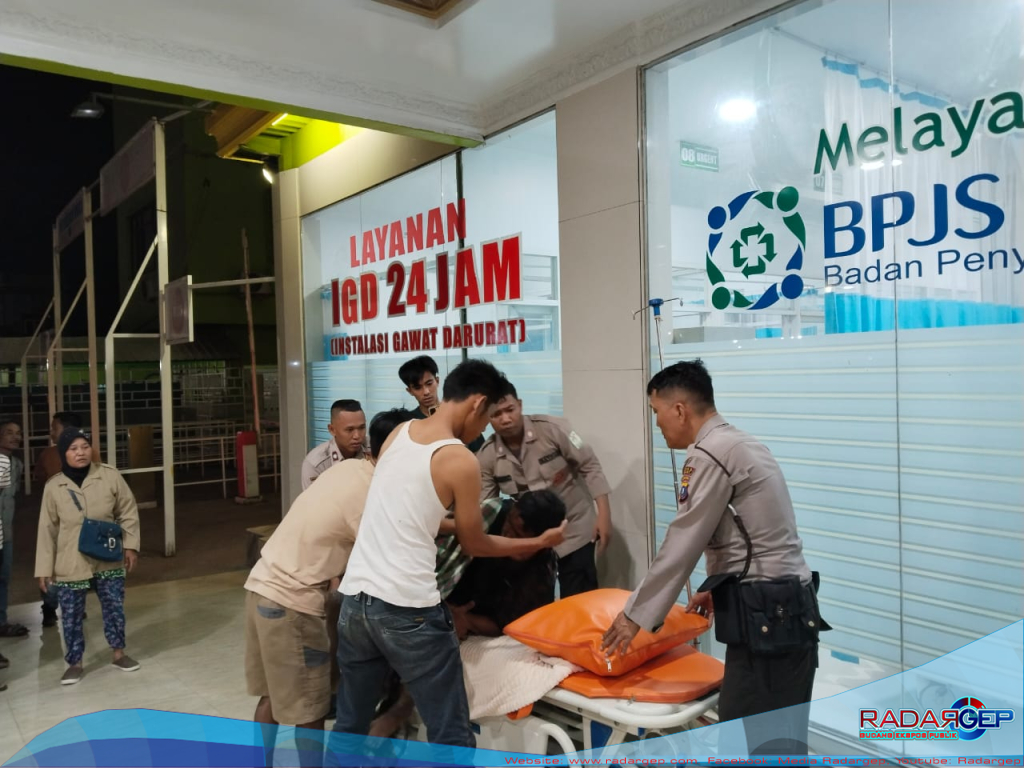 Warga Sei Lepan Kabupaten Langkat Diterkam Harimau Sumatera Saat Memanen Cabe